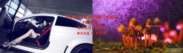 марки lsd Богданович